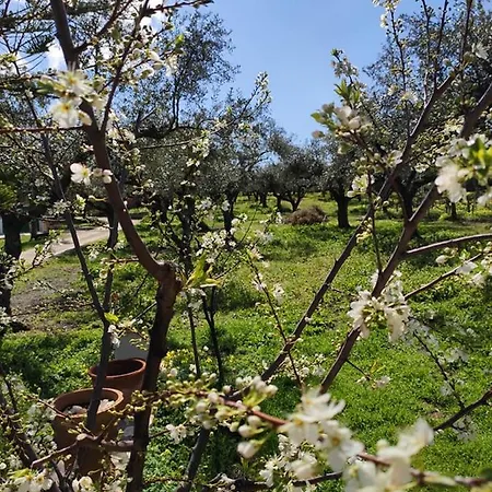 بيت للعطل Ampeli Vasilikí